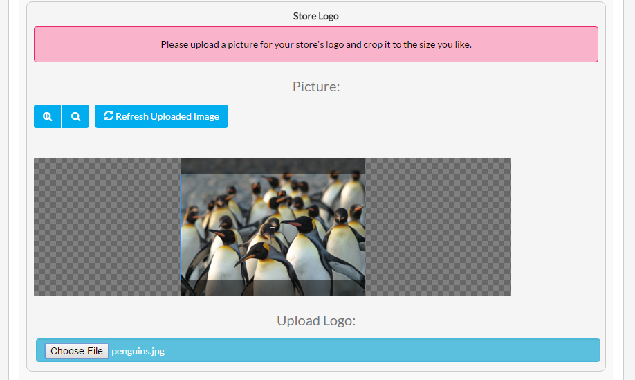 screenshot of an image upload widget